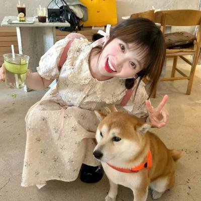 职业替身